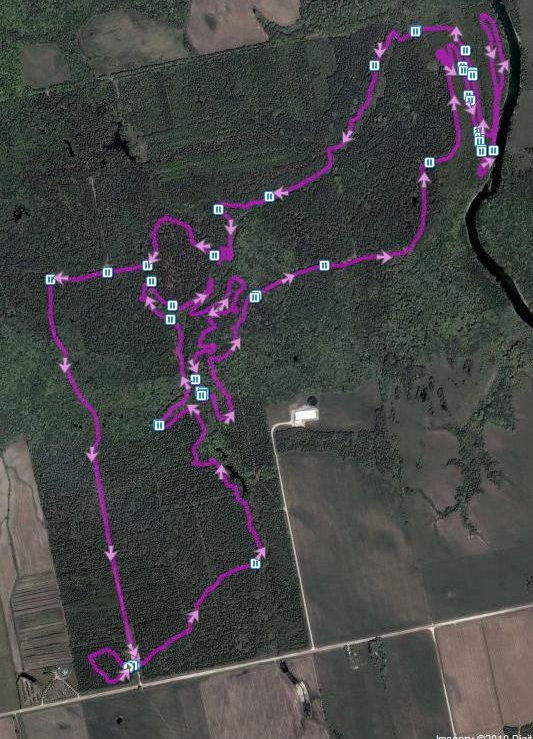 Brant Tract Trails