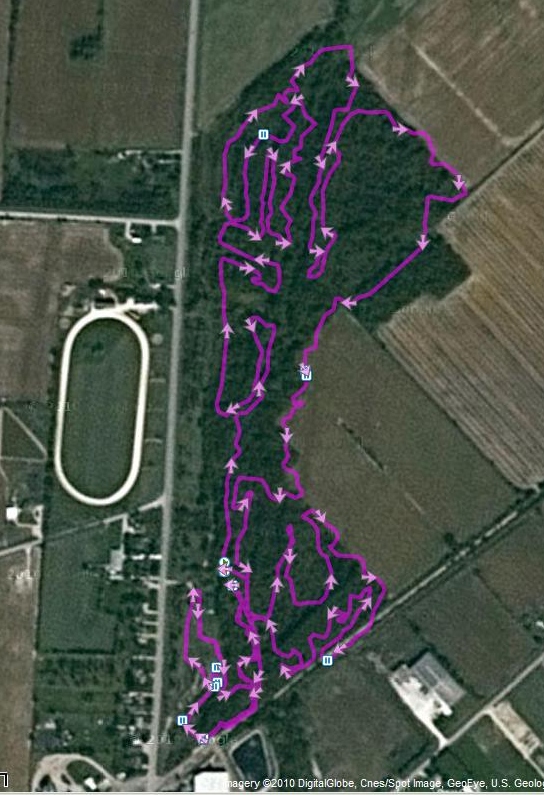 Two Creeks Wheatley